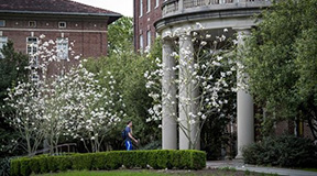 杜兰大学商业分析硕士