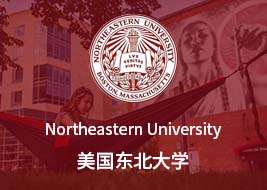 美国东北大学游戏科学与设计专业研究生申请总结