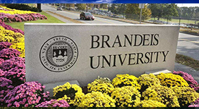 布兰迪斯大学商业分析硕士项目解析（Brandeis MSBA）