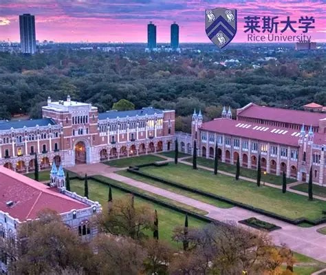 莱斯大学