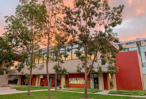 加州大学欧文分校