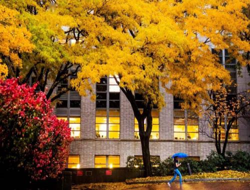 东北大学