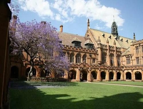 罗切斯特大学
