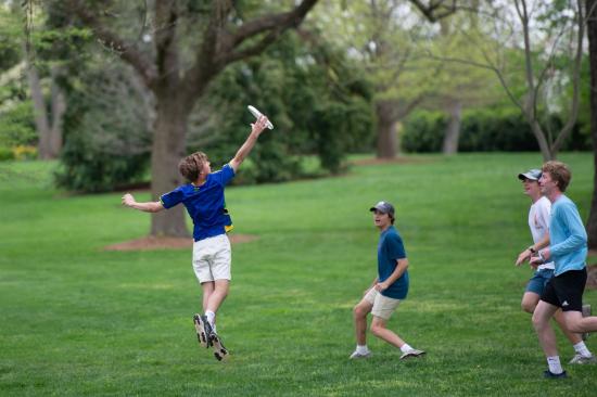乌德贝里森林学校9