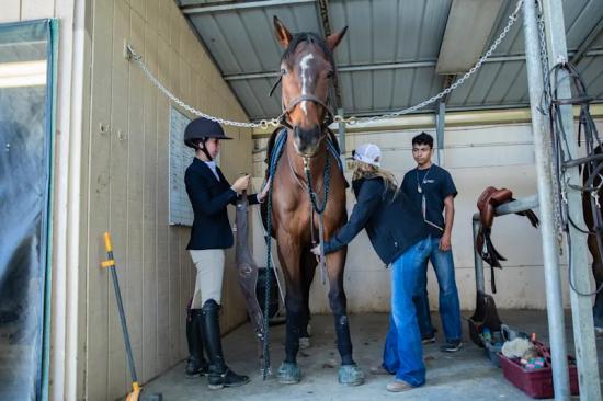 蒙地维斯塔基督学校2