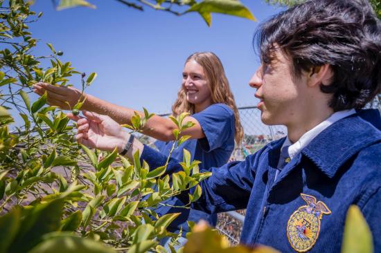 雷多纳克圣珍妮学校1