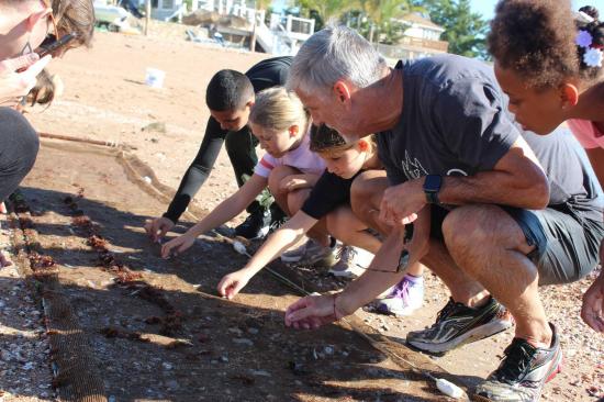 哈姆登霍尔学校3