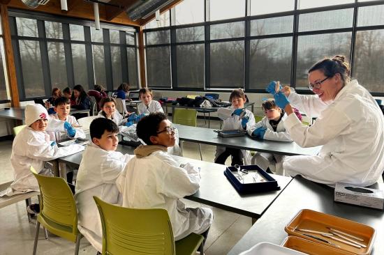 布法罗帕克学校2