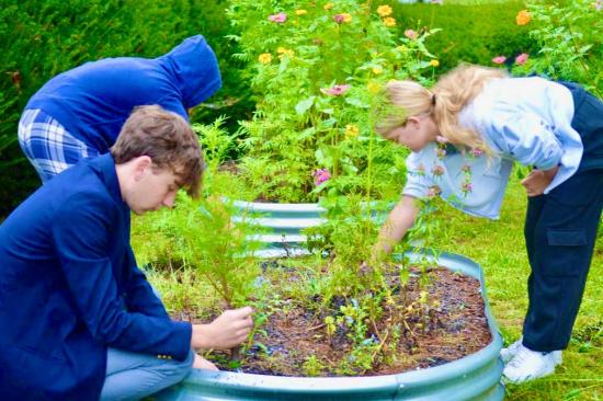 威克菲尔德学校1