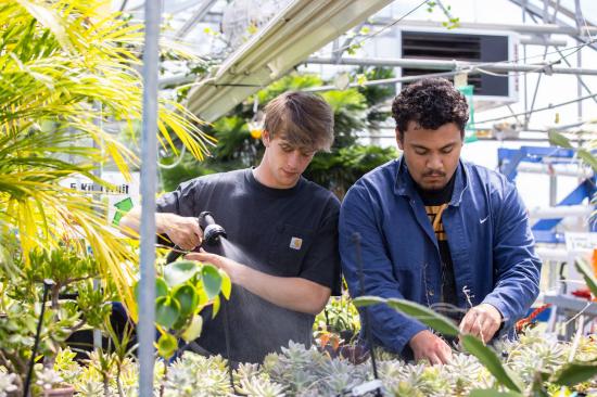 贝拉明预备学校4